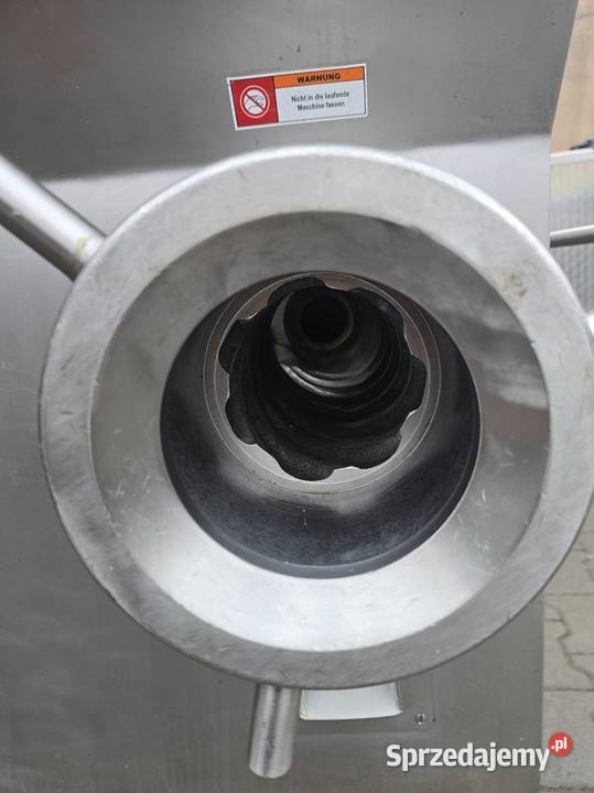 Wilk masarski śląskie Dobieszowice sprzedam