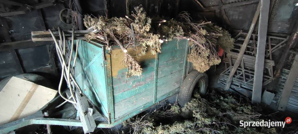 mam do sprzedania trzy wozy rolnicze Przecieszyn