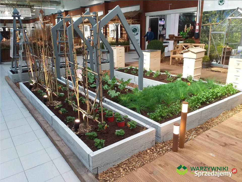 Rabata betonowa Skrzynie na warzywa Warzywnik Górno