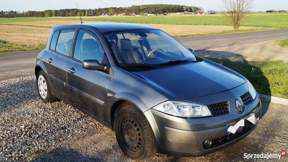 Renault Megane 19 dci Luxe Privilege wspomaganie kierownicy Konin