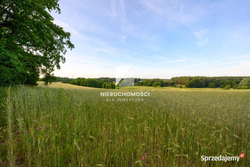 Kameralne działki budowlane w Kłodawie 1725 ar Kłodawa sprzedam
