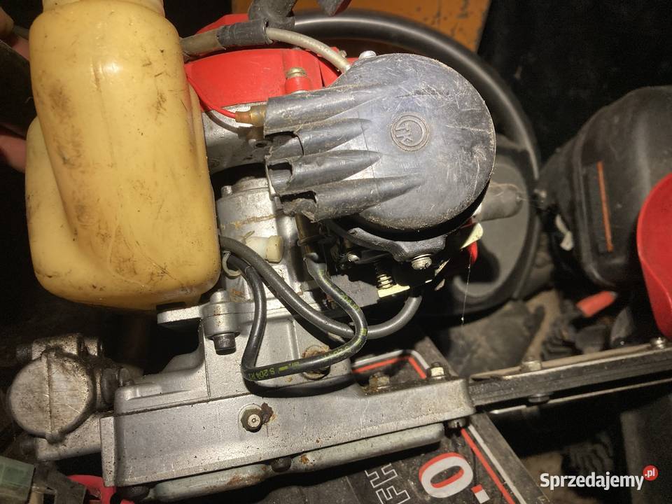 Nożyce do żywopłotu Szczecin