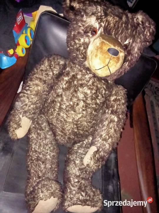 Stary Miś trociniak Teddy Bear Trawa morska Grójec