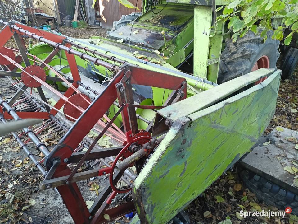 Claas mercator senator 70 nieuszkodzony Pęchów
