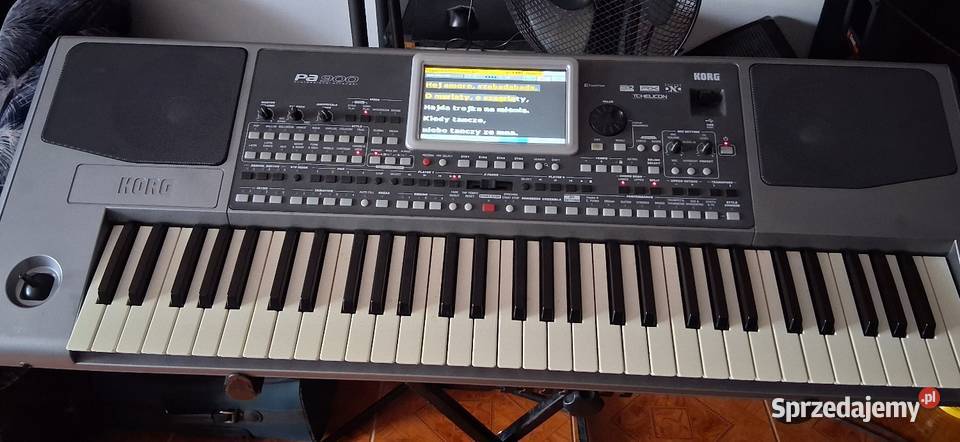 Korg PA900 Radomsko