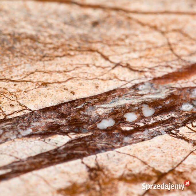 Płytki Marmur Rain Forest Brown szczotkowany Rumia