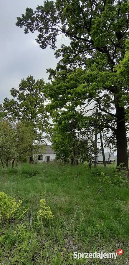 Mazury pod Warszawą ze stawem starymi dębami mazowieckie