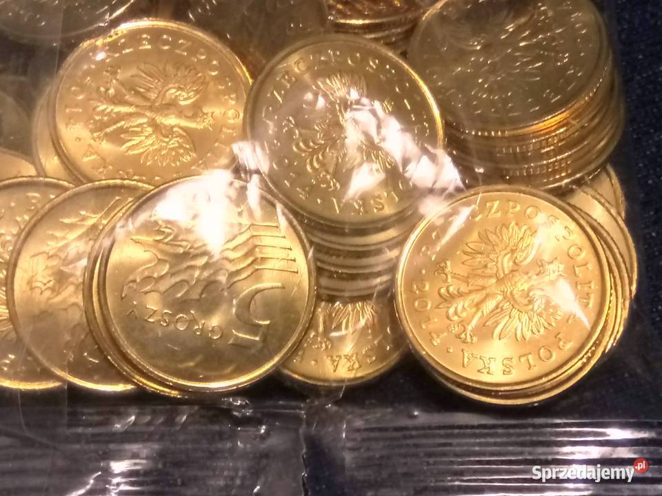 5 groszy 2014 worek 100 MW Numizmatyka mazowieckie Warszawa