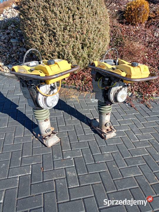 Skoczek Wacker Neuson ubijak zageszczarka Miechów