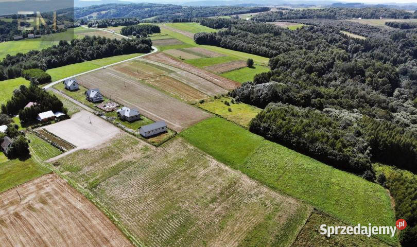 Ogłoszenie grunt Niewodna 14000m2 Sprzedaż podkarpackie