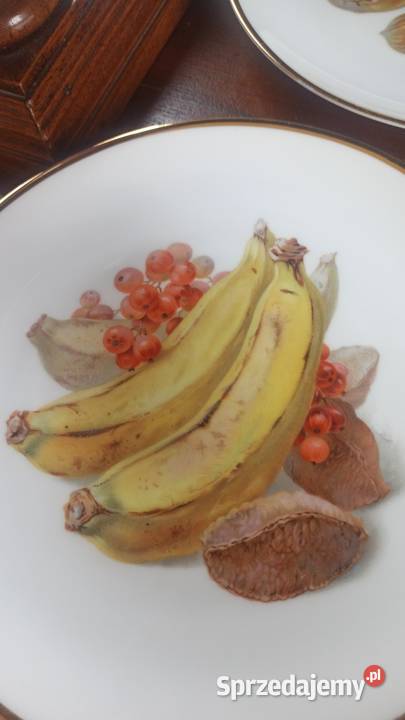 Talerz z owocami Rosenthal Syg Thomas Bavaria Gdańsk