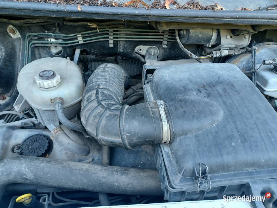 Renault master 28 dti 25 dci wszystkie części Rok produkcji 2001 Ząbkowice Śląskie sprzedam