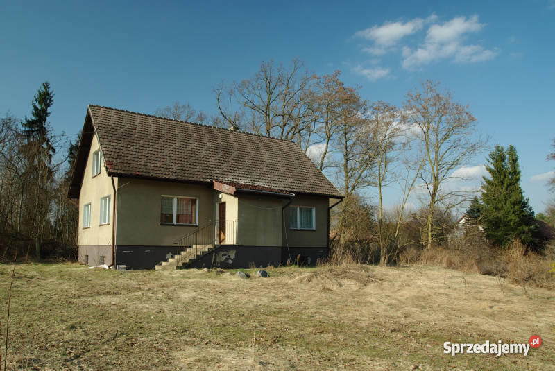 DOM LEŚNICZÓWKA dolnośląskie Zawonia sprzedam