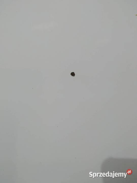 MASKA POKRZYWA PRZÓD BIAŁA Chevrolet Cruze I świętokrzyskie