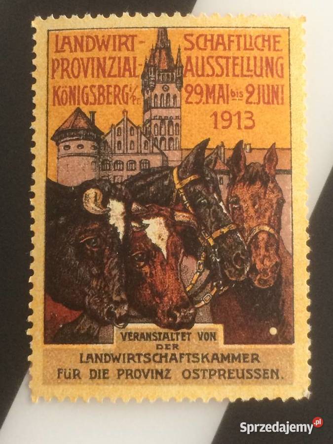 962 Niemiecki Dokument Królewiec Antykwariat Szczecin