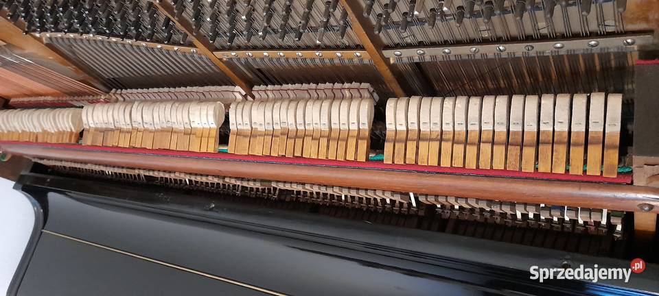 Pianino Theodor Betting Pilica