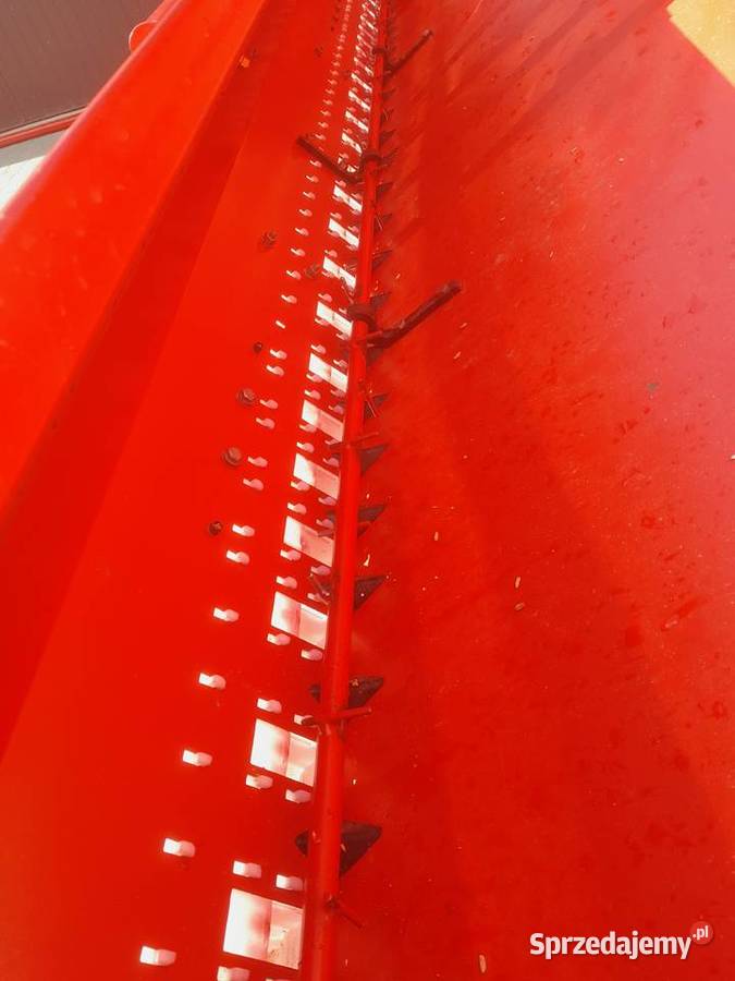 Siewnik nieuszkodzony mazowieckie Ostoje