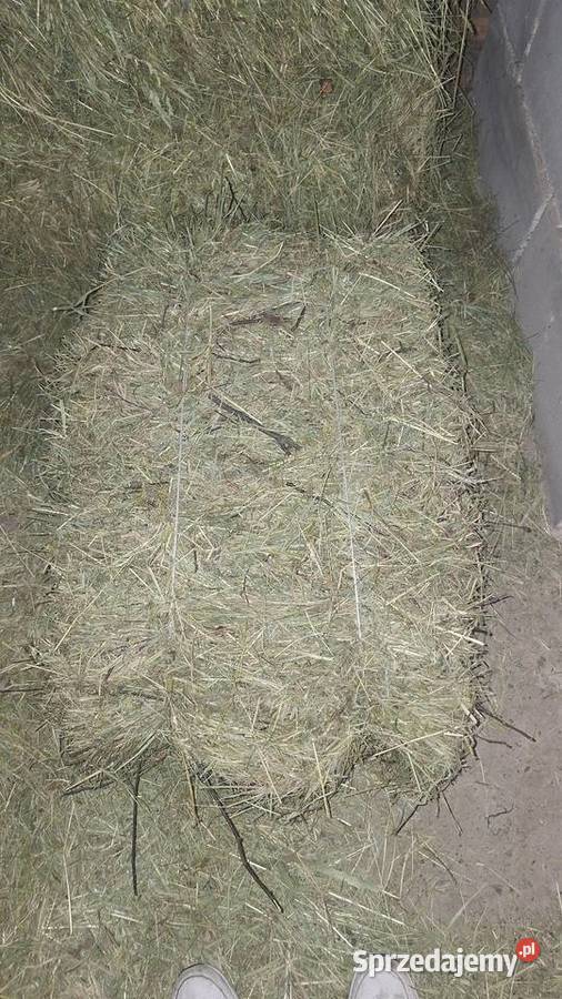 Siano w kostkach dostawa pod adres Pielgrzymowice