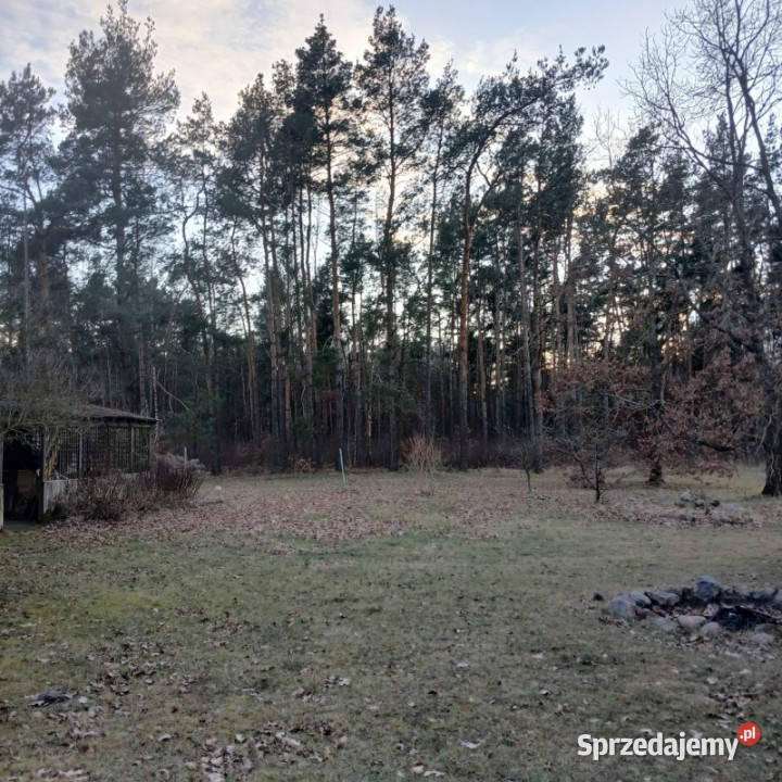Działka Budowlana Wegrów 8613m Węgrów