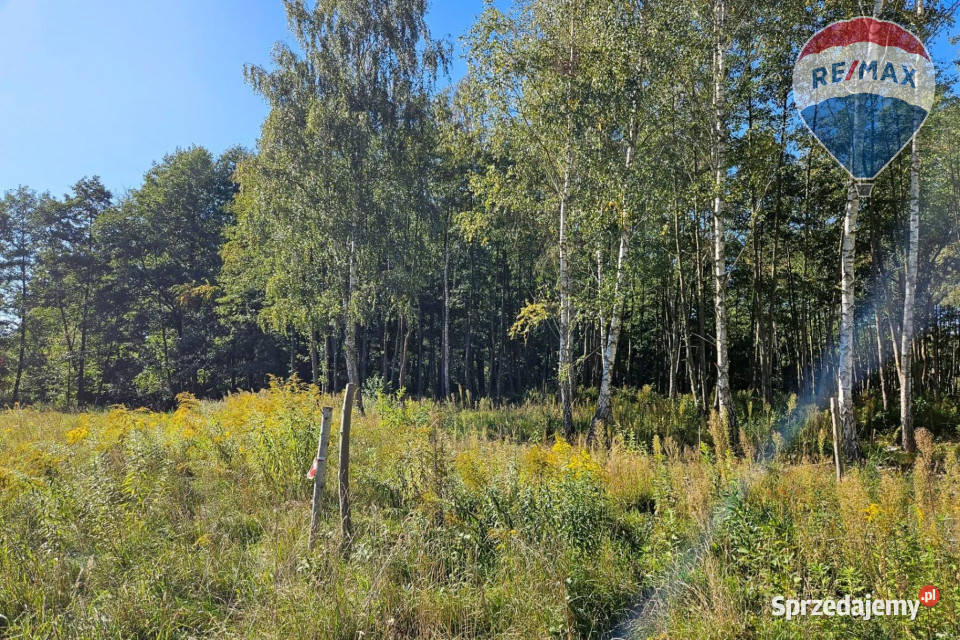 Działka budowlana 1931m2 z lasem rzeczką 26m Musuły