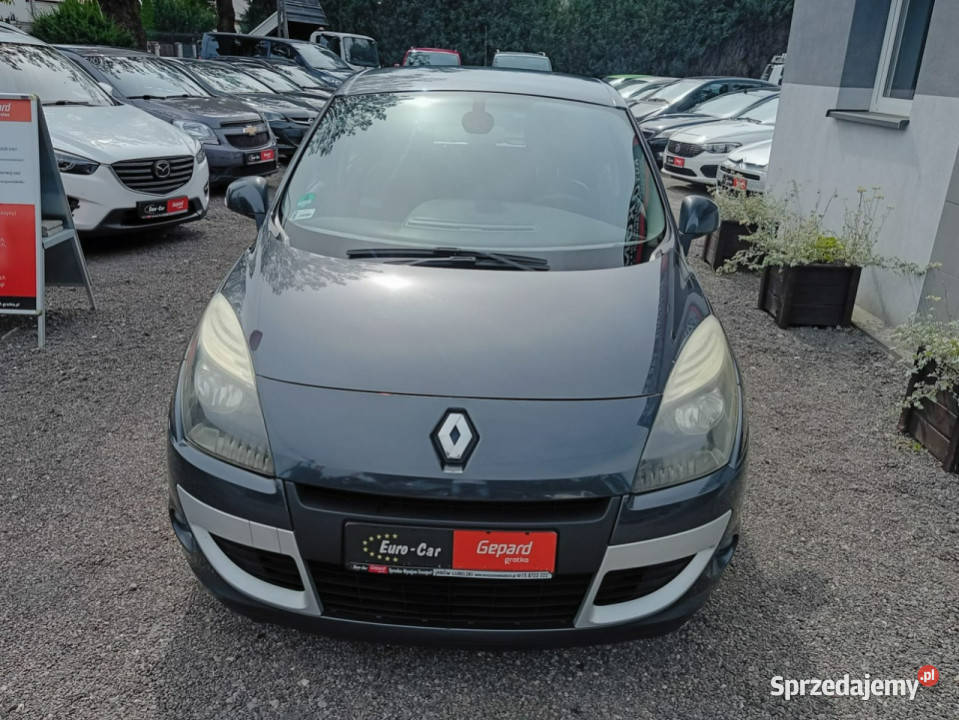Renault Scenic Możliwość zamiany III 20092016 światła do jazdy dziennej Scenic Janów Lubelski