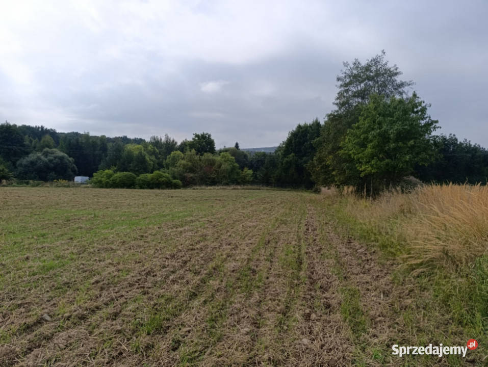 Działka zagrodowa 30ar Janczowice gm Łagiewniki Jaźwina