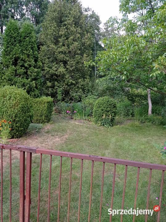 Sprzedam działkę ROD Chobot Sprzedaż Warszawa sprzedam