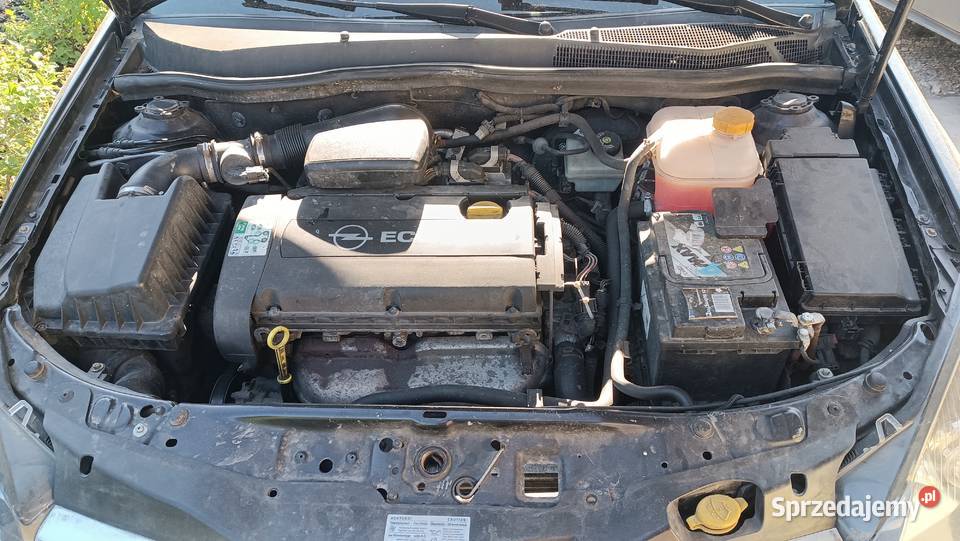 Opel astra H hatchback z20r 16 Z16XEP na części Rok produkcji 2005 Kruszyn Krajeński
