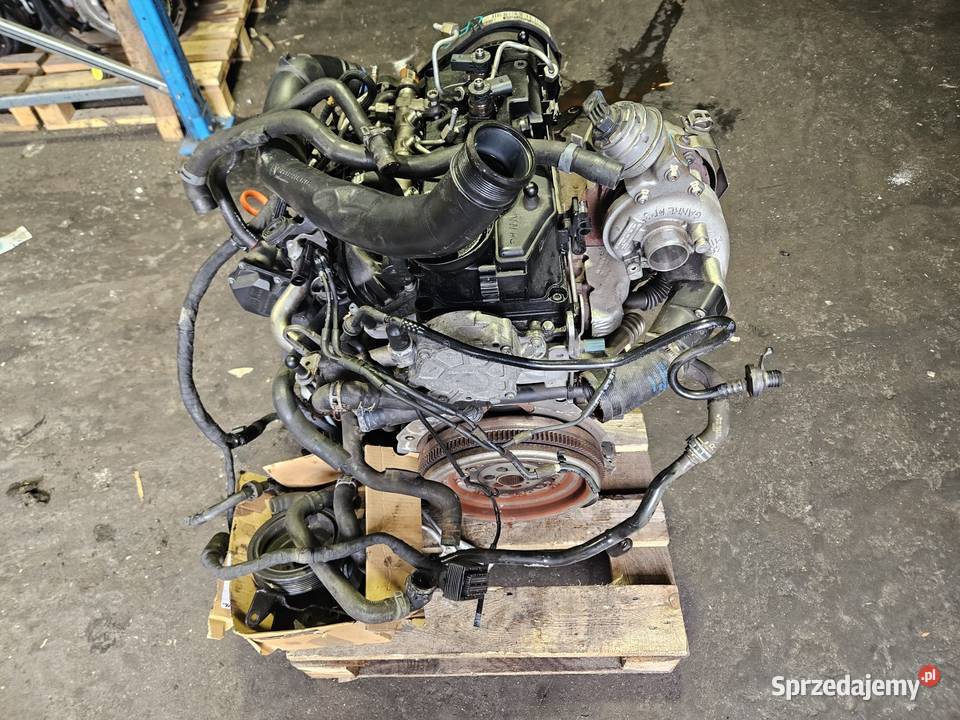Uszkodzony Silnik VW Audi Skoda Seat CFG 20 TDI dolnośląskie Zgorzelec