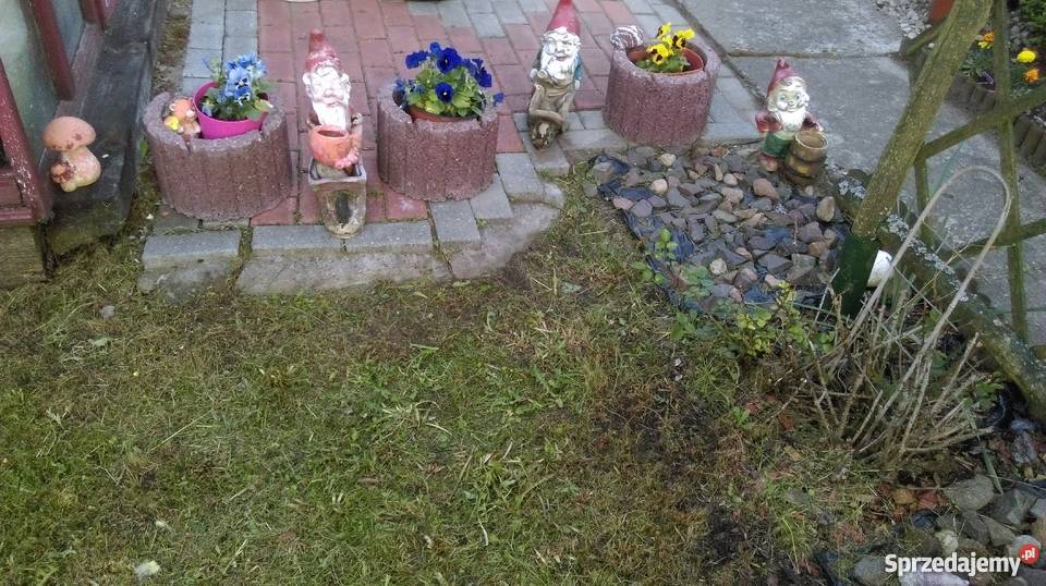 SPRZEDAM DZIAŁKĘ REKREACYJNĄ 275m2 Grunty i działki
