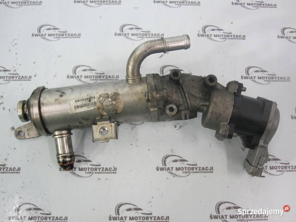 DISCOVERY 08r 27 TDV6 276DT 190 chłodniczka Recyrkulacja spalin EGR Kielce