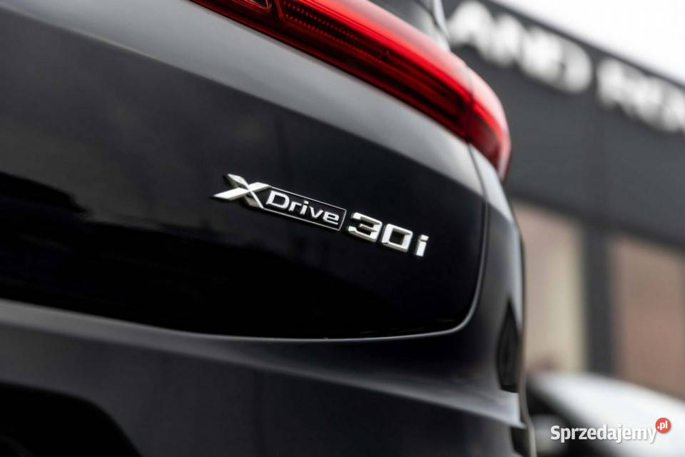 BMW X4 Salon Polska Serwisowany Stan idealny G02 system Start-Stop łódzkie Łódź