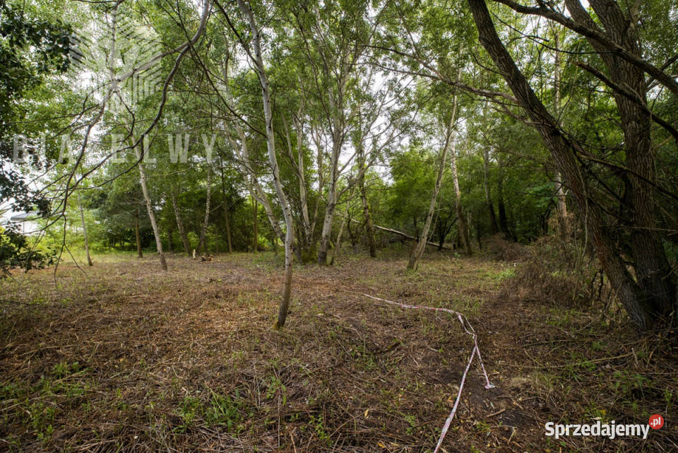 Sprzedaż ziemi 1195m2 Wilcza Góra Polna