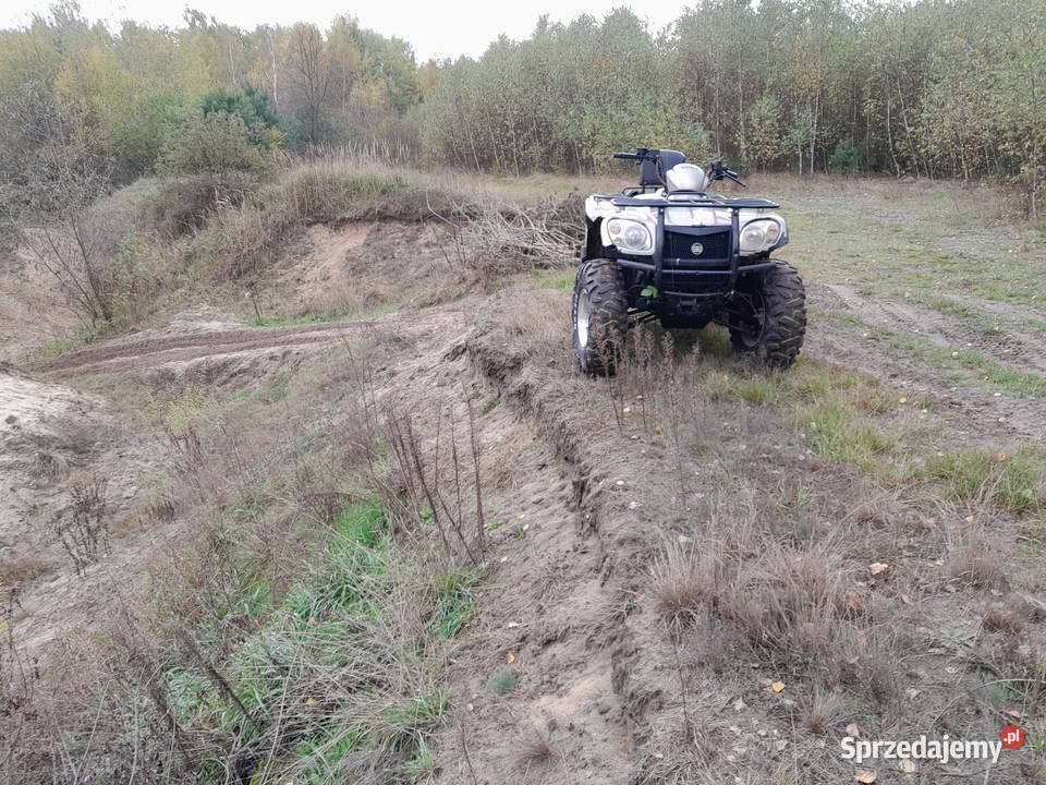 Quad cfmoto goes 520 2x4 4x4 sprawny sprowadzony Rok produkcji 2008 mazowieckie Radom