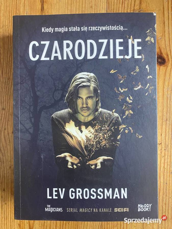 Czarodzieje Król Magii Kraina Czarodzieja Zielonka