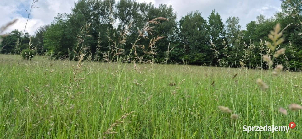 Widokowa działka odkryj spokój w Beskidach śląskie Brenna