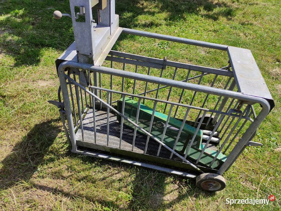 Waga do 350 Łomża sprzedam