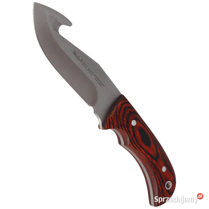 Nóż Muela Bisonte11R Pakka Wood Satin X50CrMoV15 Warszawa