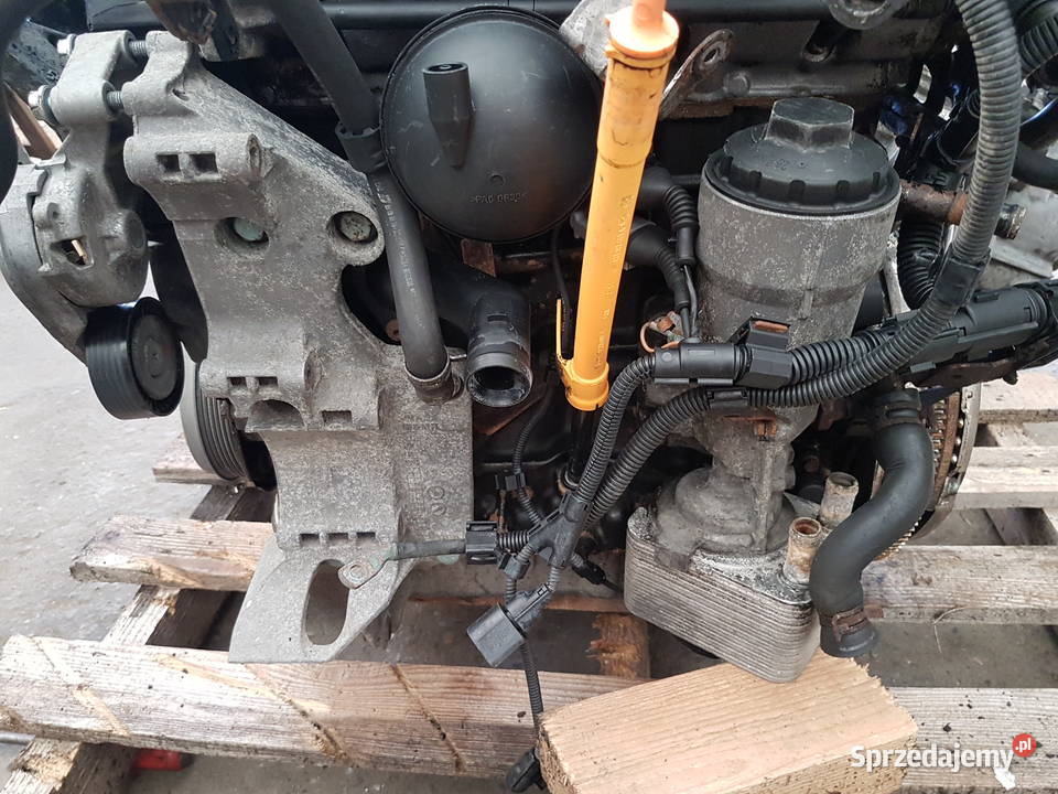 VW SHARAN SEAT ALHAMBRA 19 TDI 130 SILNIK MOTOR Silniki kompletne Turkowice