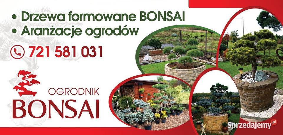 bonsai ogród taras Biertowice sprzedam