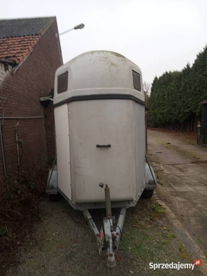 Przyczepa koni Rok produkcji 2003 świętokrzyskie Pińczów