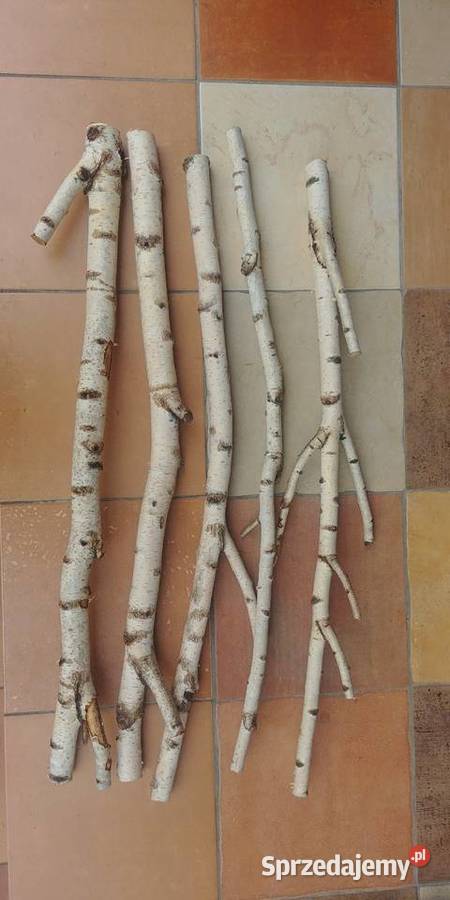 Żerdzie brzozowe z mocowaniami papug Ruda Śląska