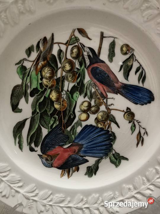 Talerz obiadowy birds America ilustra AUDUBONA