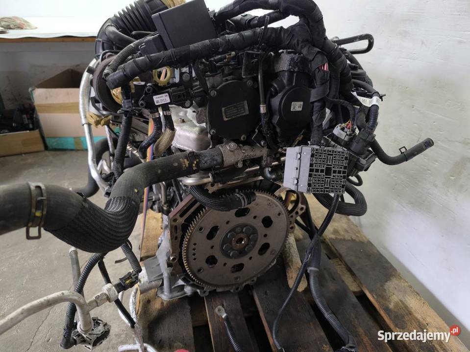 SILNIK KOMPLETNY OPEL ANTARA LIFT 22 CDTI 184 Silniki kompletne wielkopolskie