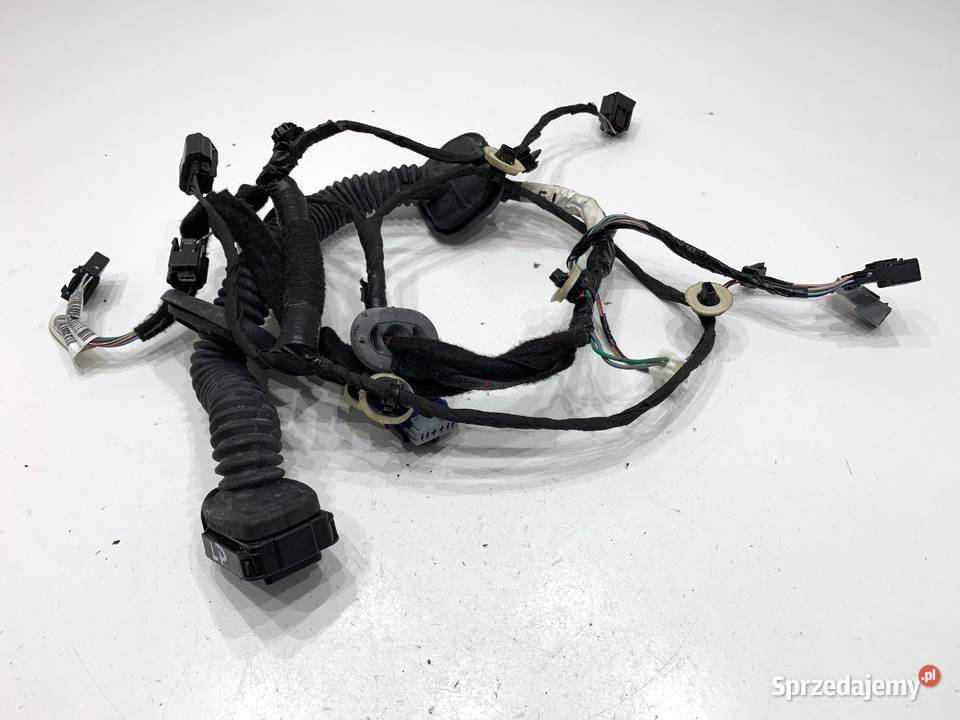 WIĄZKA DRZWI PRZÓD LEWY RENAULT MEGANE IV 15 116 podkarpackie