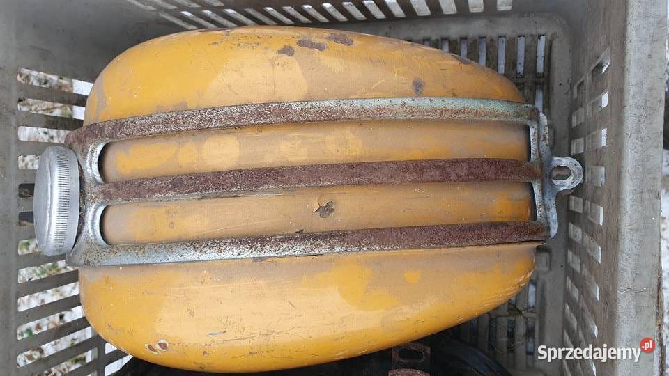 Ryś Żak zbiornik z kratką Dobrzejów