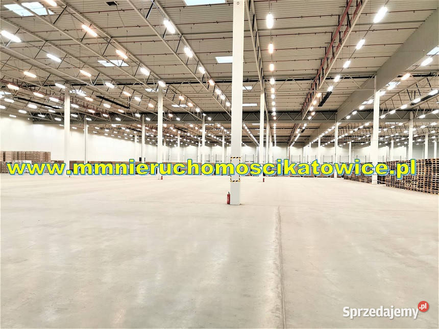 Powierzchnie magazynowe 200 10000 m2 o wynajęcia 10000m2 Sosnowiec sprzedam