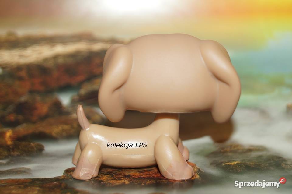 LPS Littlest Pet Shop jamnik 932 Xerda Rybnik