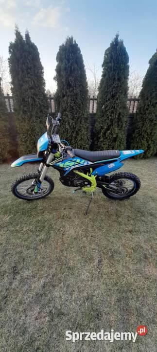 Asix lizzard 125 Pozostałe Pozostałe Sobolew