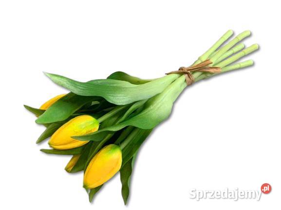 Tulipany silikonowe żółte realistyczny wygląd 27 Golkowice sprzedam